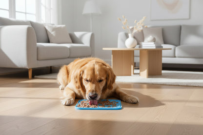 Lugna Hund-paketet + GRATIS GÅVA! 🎁